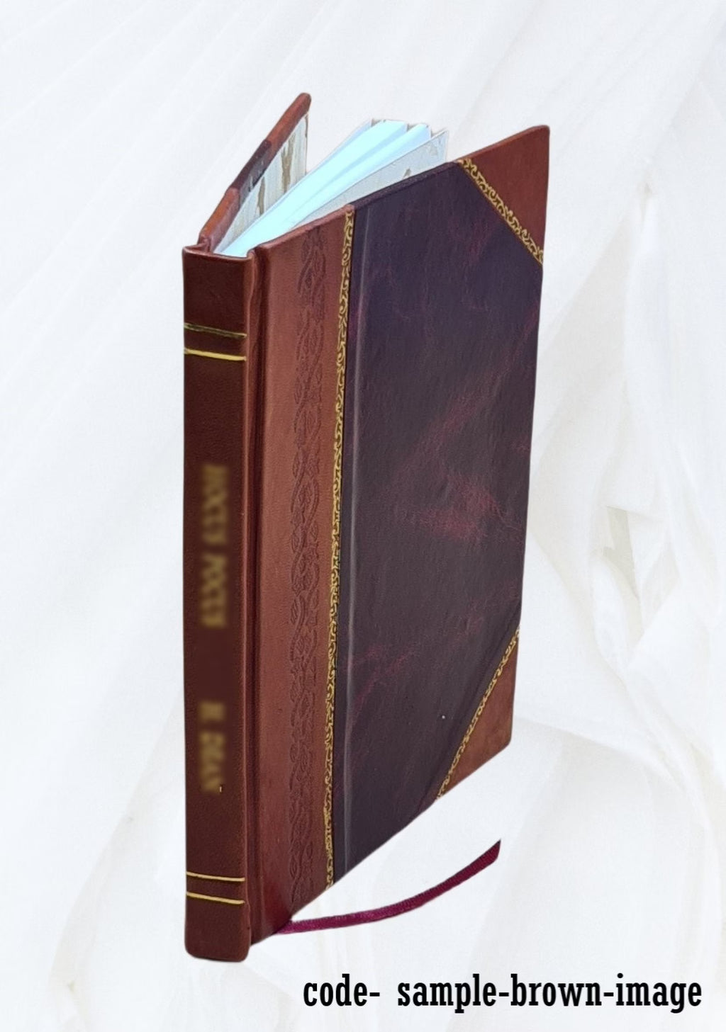 Panegyricus D510