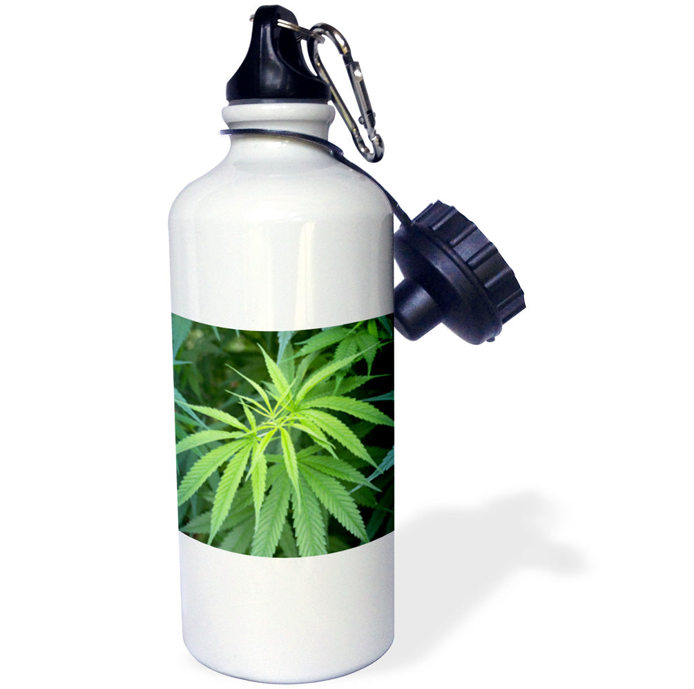 21 oz Sports Water Bottle D4086