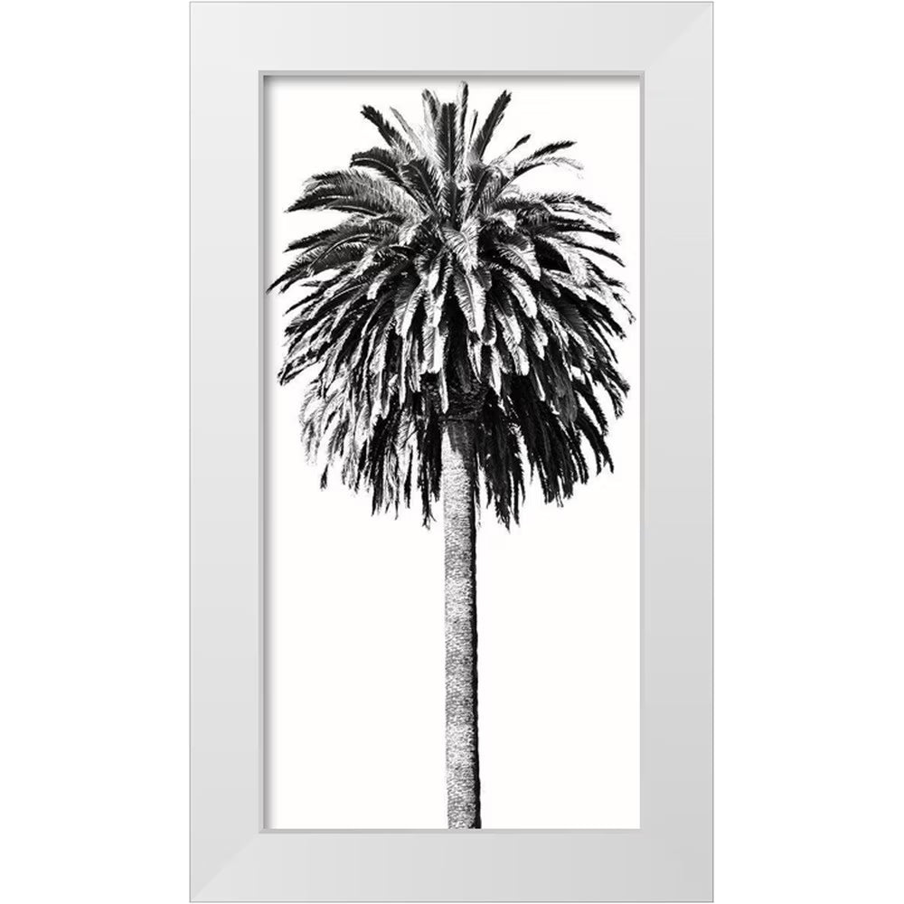 White 18x32 Wood Framed Museum Art Print P26419