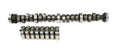 Cam & Lifter Kit W731999