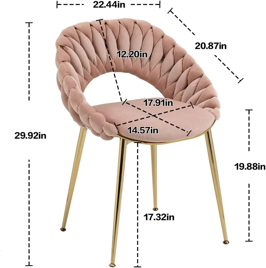Pink Velvet Accent Chair Set of 2 with Gold Legs N1165