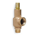Safety Relief Valve, 1 x 1-1/4 In, 75 PSI O1915