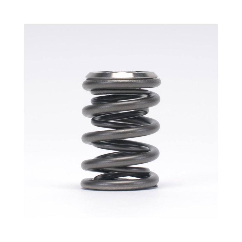 Valve Spring and Retainer Kit Z479