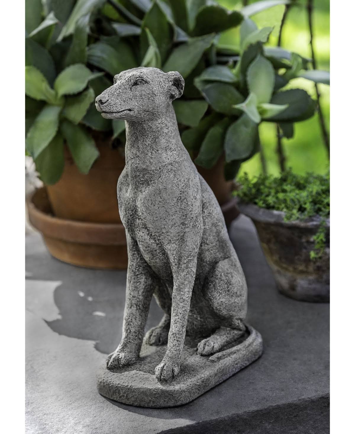 Alpine Stone Greyhound Statue A6705