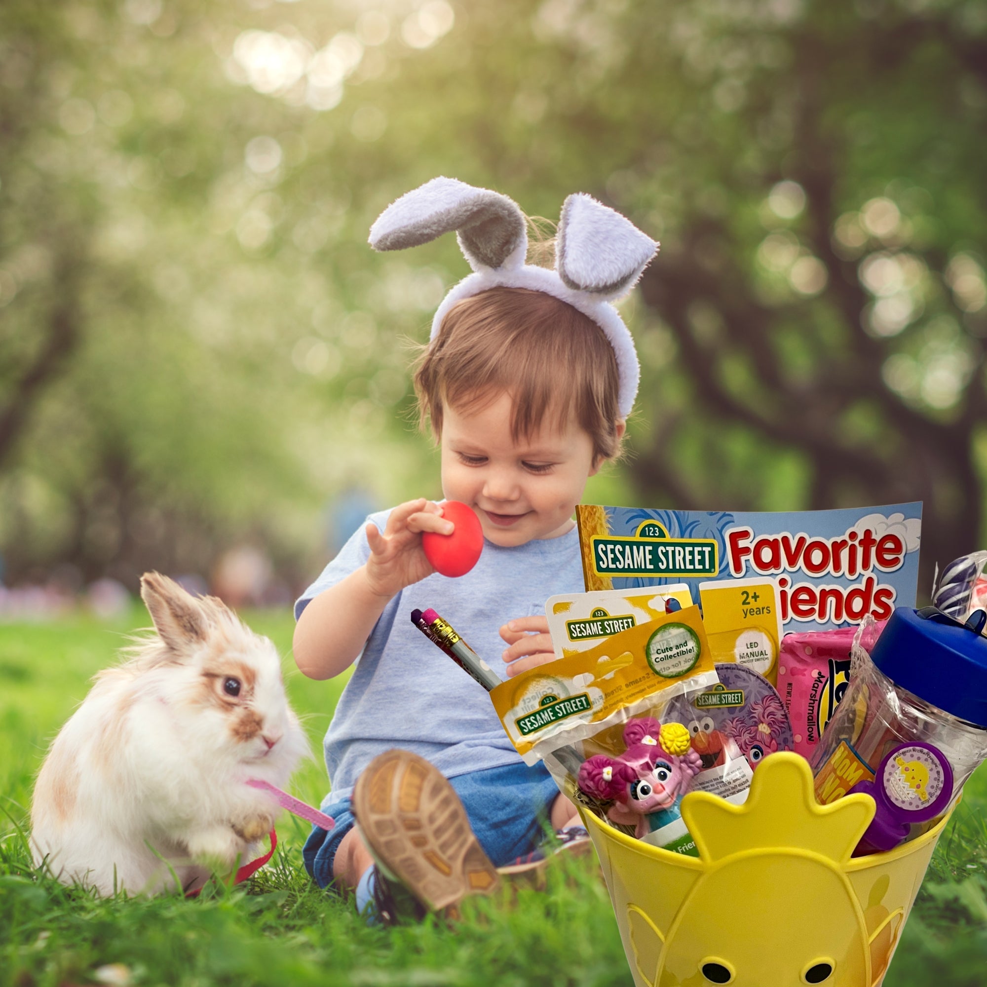 Sesame Street Easter Basket with Collectible Toy Tumbler Led Night Light Coloring Book Bubbles Candies A544404