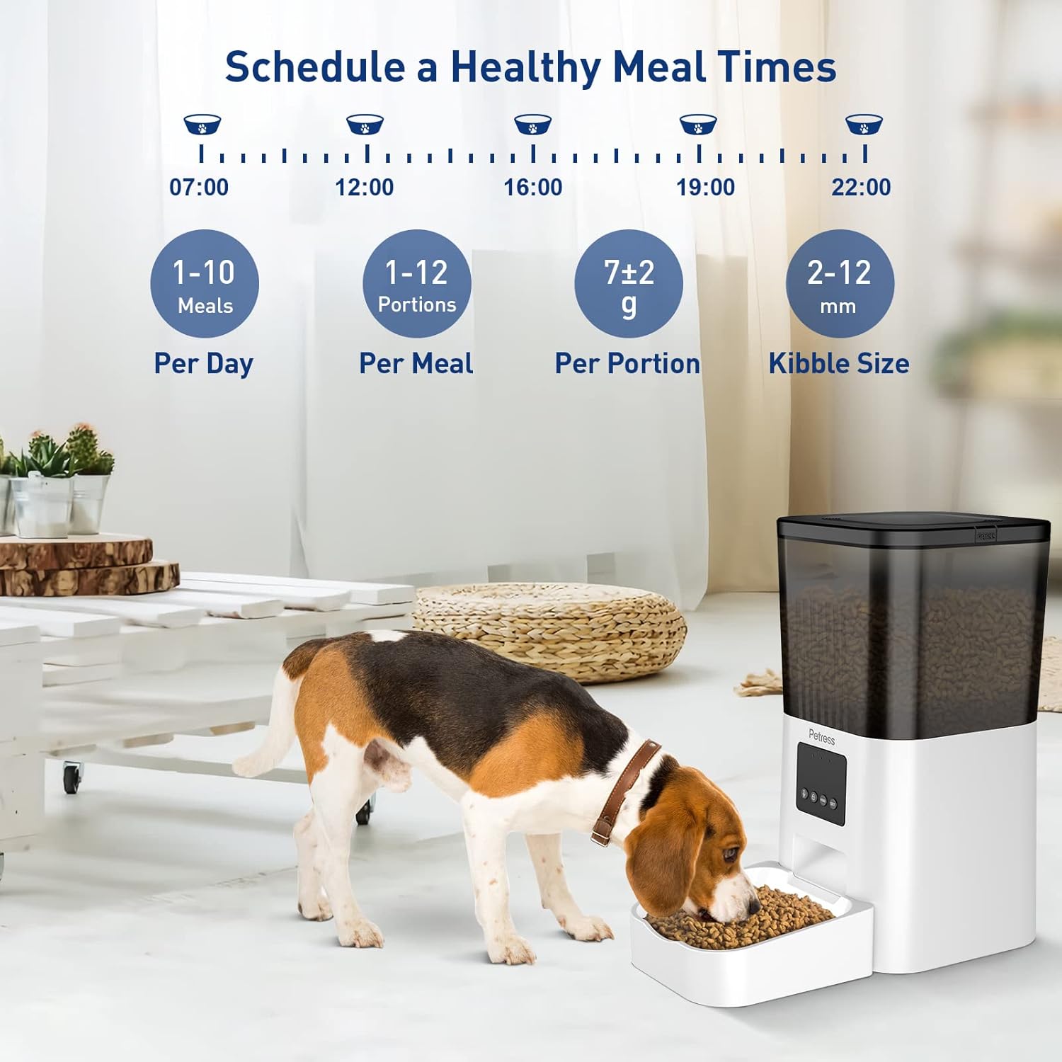 4L Automatic Cat Feeder with WiFi and 10s Voice Recorder, Pack of 2 I101661