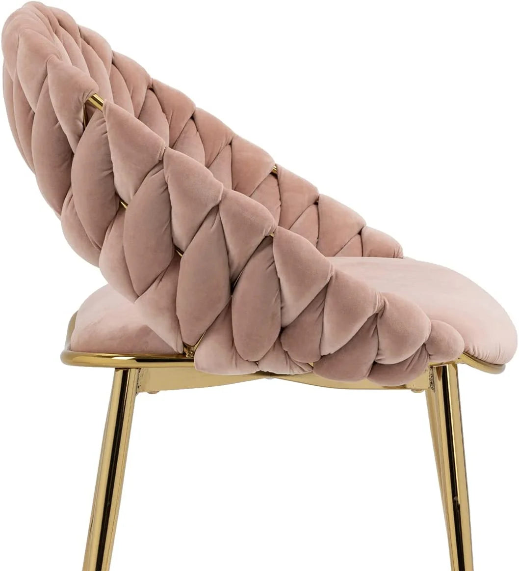 Pink Velvet Accent Chair Set of 2 with Gold Legs N1165