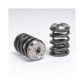 Valve Spring and Retainer Kit Z479