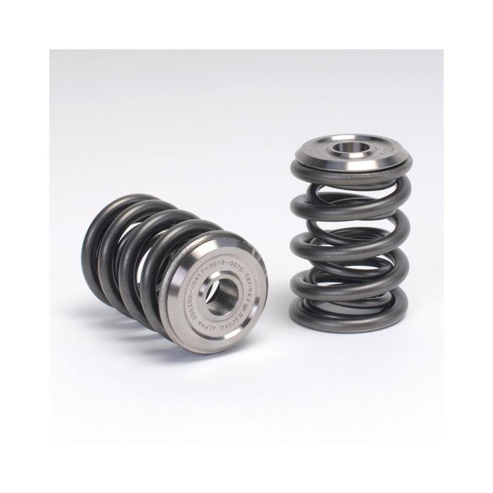 Valve Spring and Retainer Kit Z479